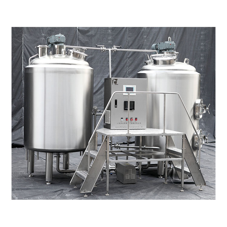 500L-two vessels craft beer brewing-brewhouse-brewery equipment suppliers.jpg